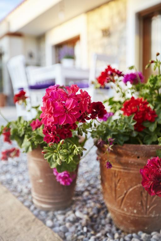 L'Olivier Guest House Алакати Екстериор снимка